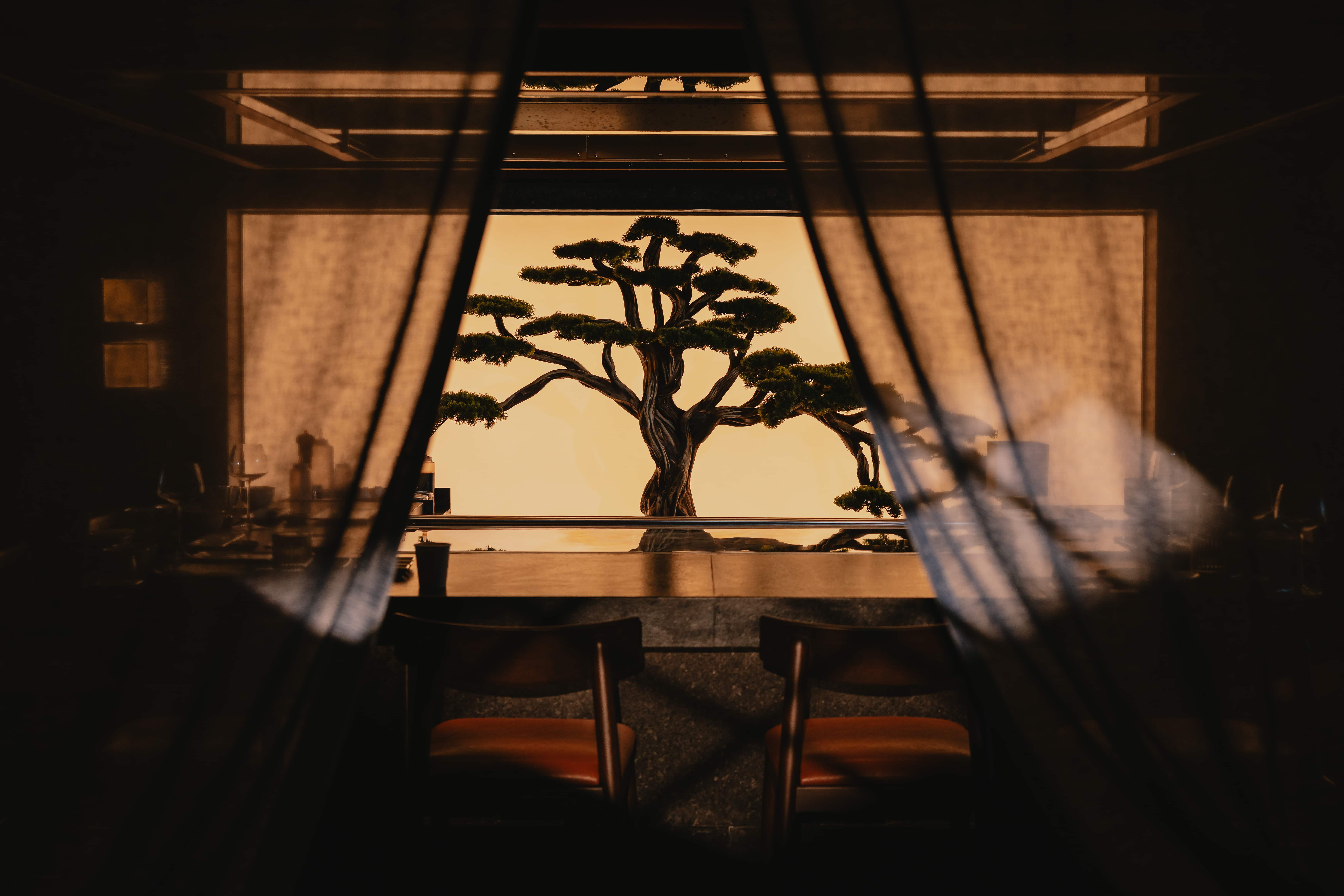Kushimoto restoran atmosferi
